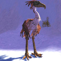 Moa