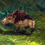 Warthog