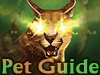 Guild Wars Pet Guide