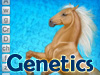 Interactive Horse Genetics