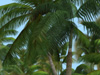 View Large