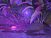 Mystic Pool